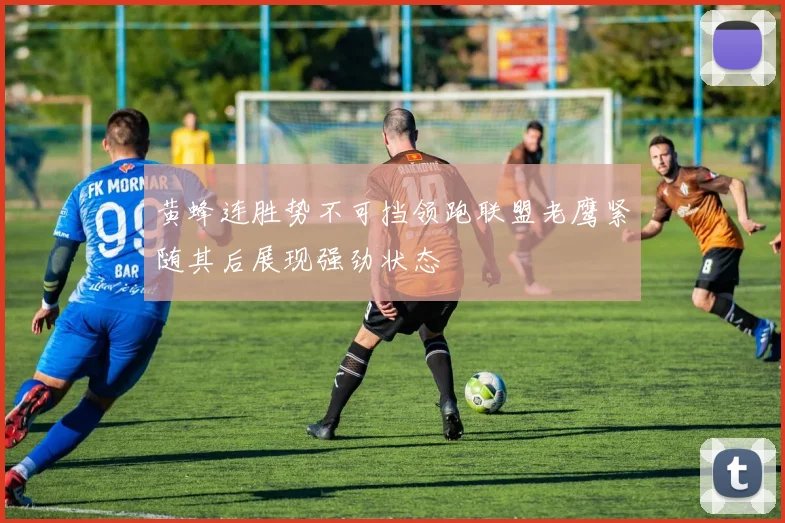 黄蜂连胜势不可挡领跑联盟老鹰紧随其后展现强劲状态