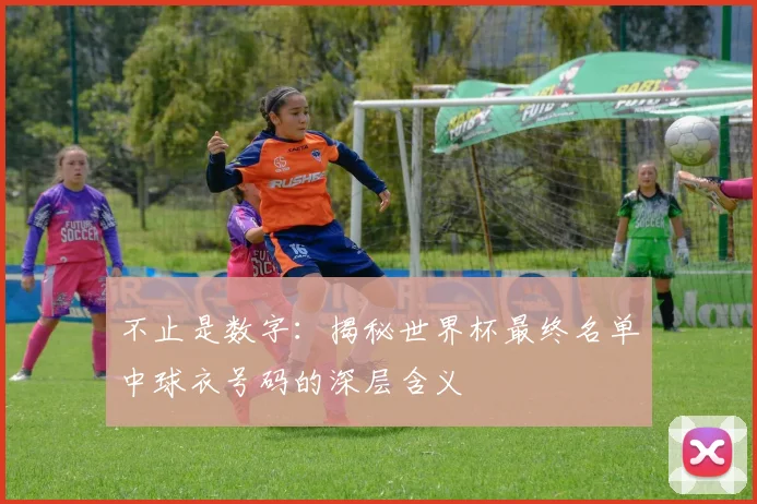 不止是数字：揭秘世界杯最终名单中球衣号码的深层含义
